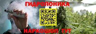 дмт Кунгур