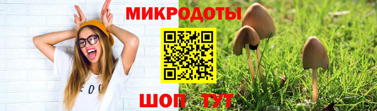 Шахты  Псилоцибиновые грибы Psilocybine cubensis  продажа наркотиков  Вход с VPN  Псилоцибиновые грибы MAGIC MUSHROOMS 